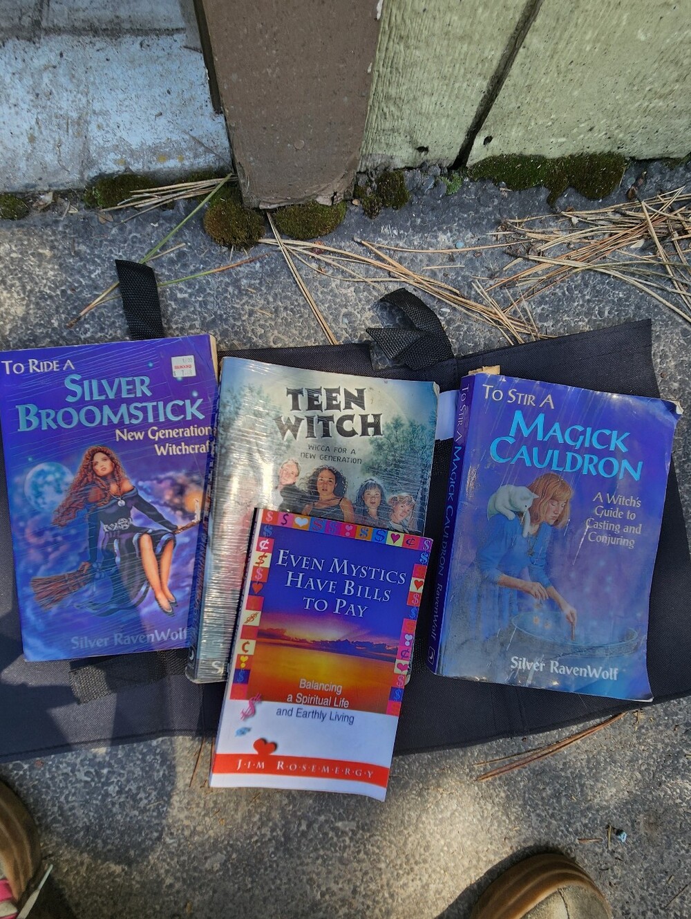 Wiccan Book Lot